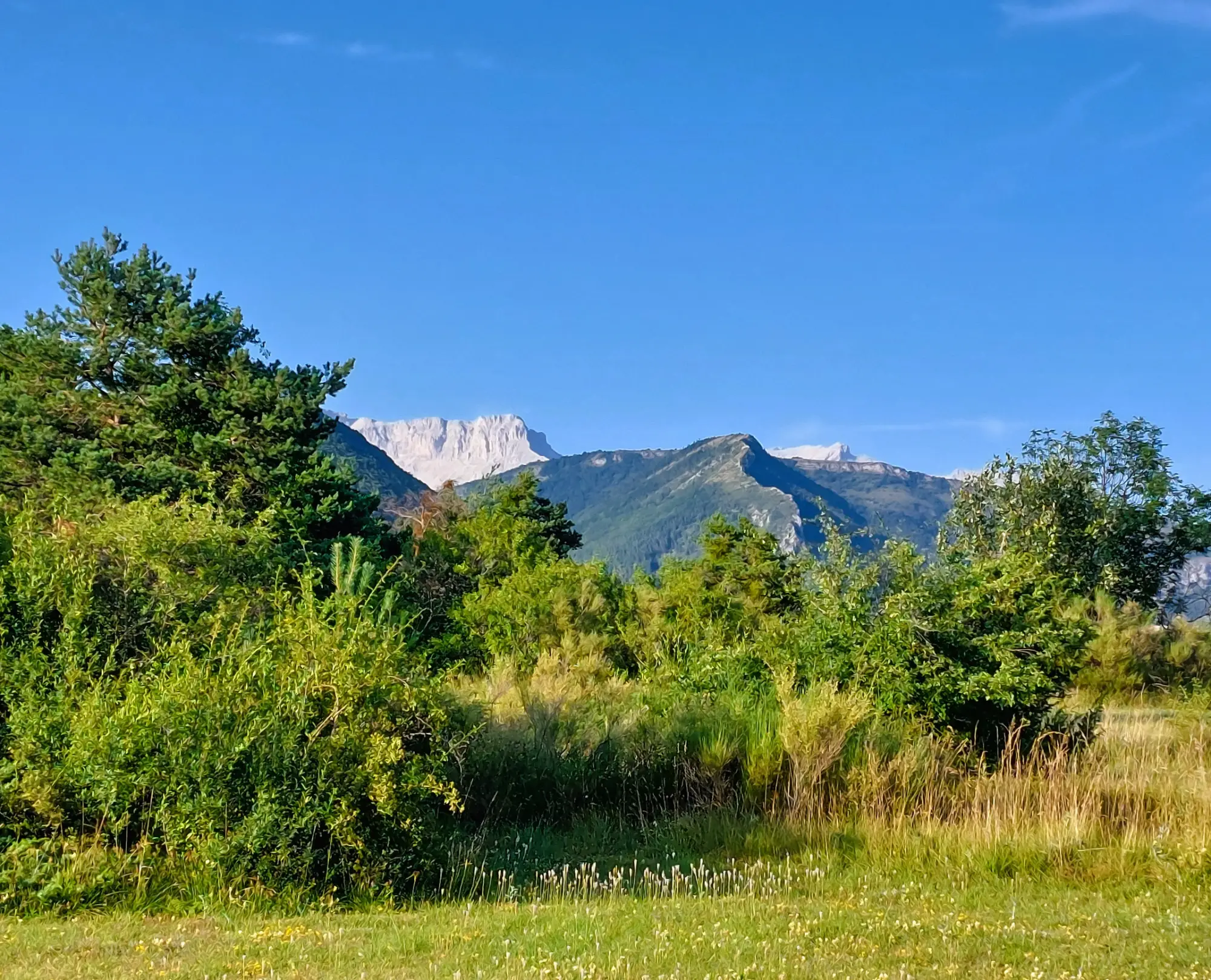 Camping du chevalet camping Hautes-Alpes 05 , camping éco-responsable 05, et chalets éco-responsables 05.