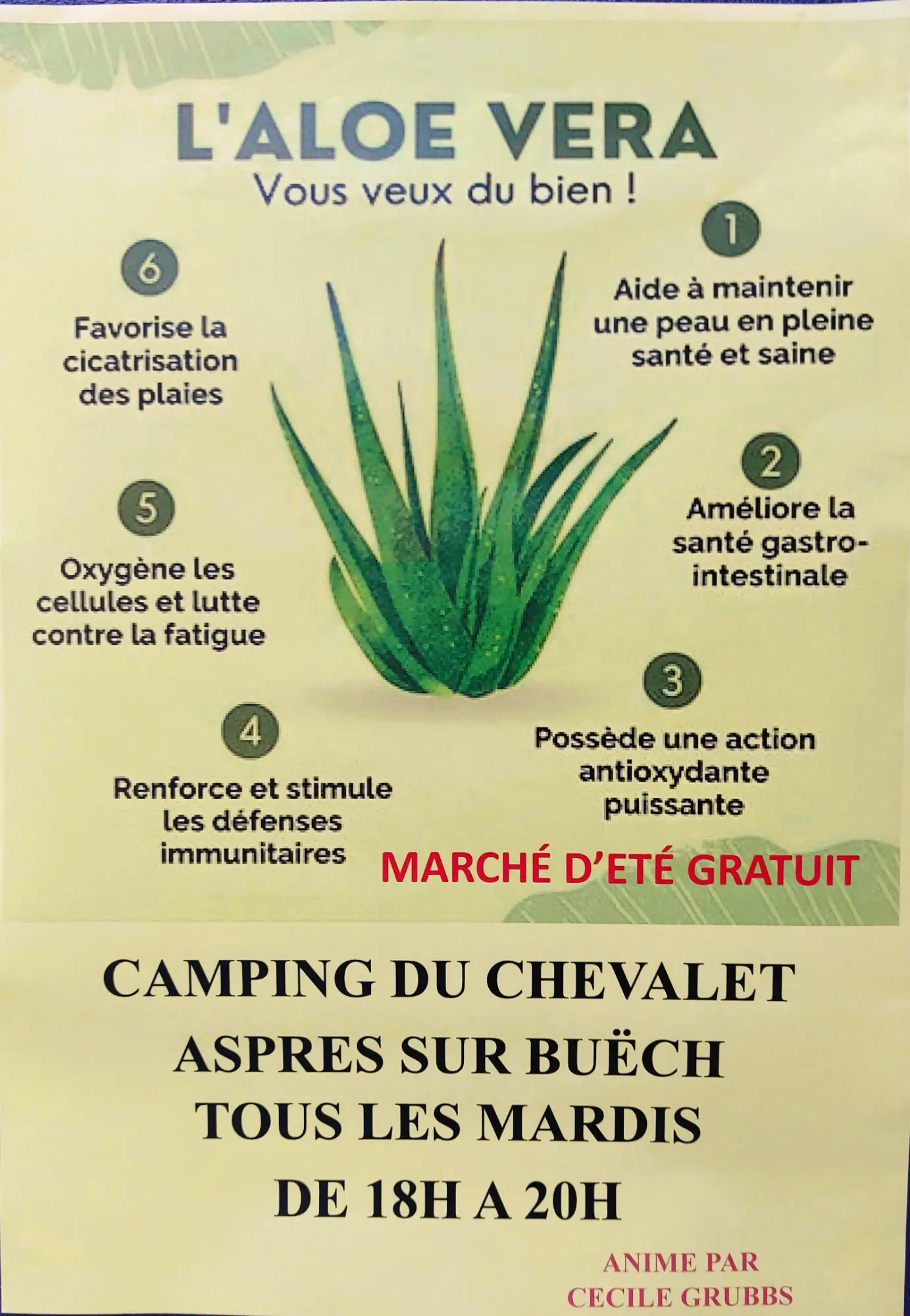 Camping du chevalet camping Hautes-Alpes 05 , camping éco-responsable 05, et chalets éco-responsables 05.